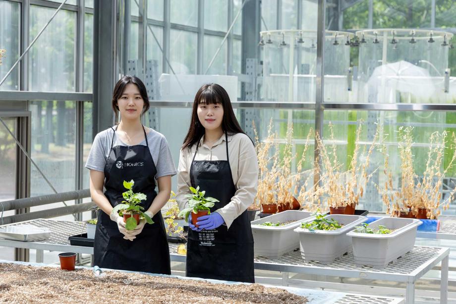 식물 유전자를 활용한 고부가 소재 연구 활성화에 거는 기대 이미지